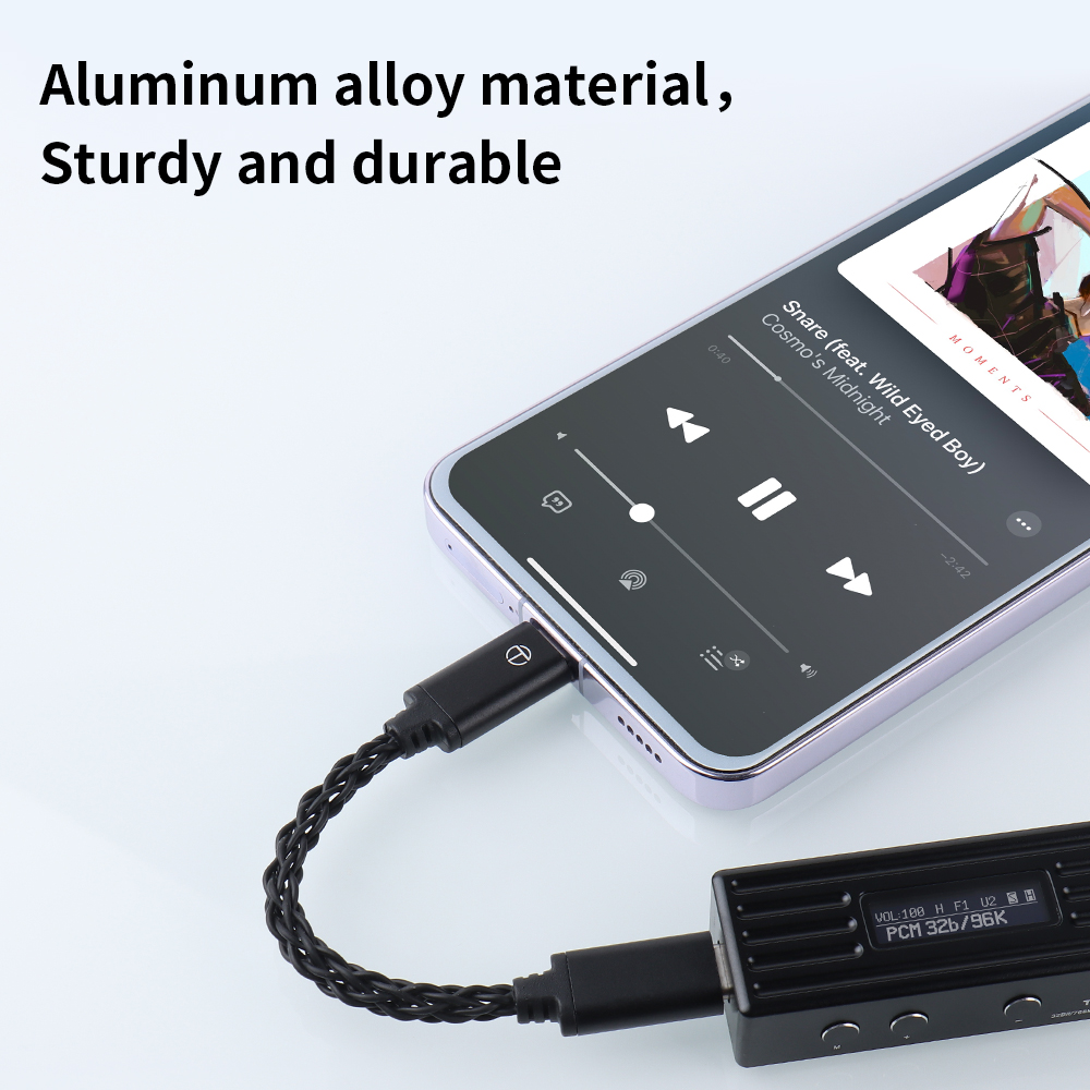 TRN 변환 라인 유형-C DAC 앰프 업그레이드 케이 - Usb C Earphone 리뷰 및 가격
